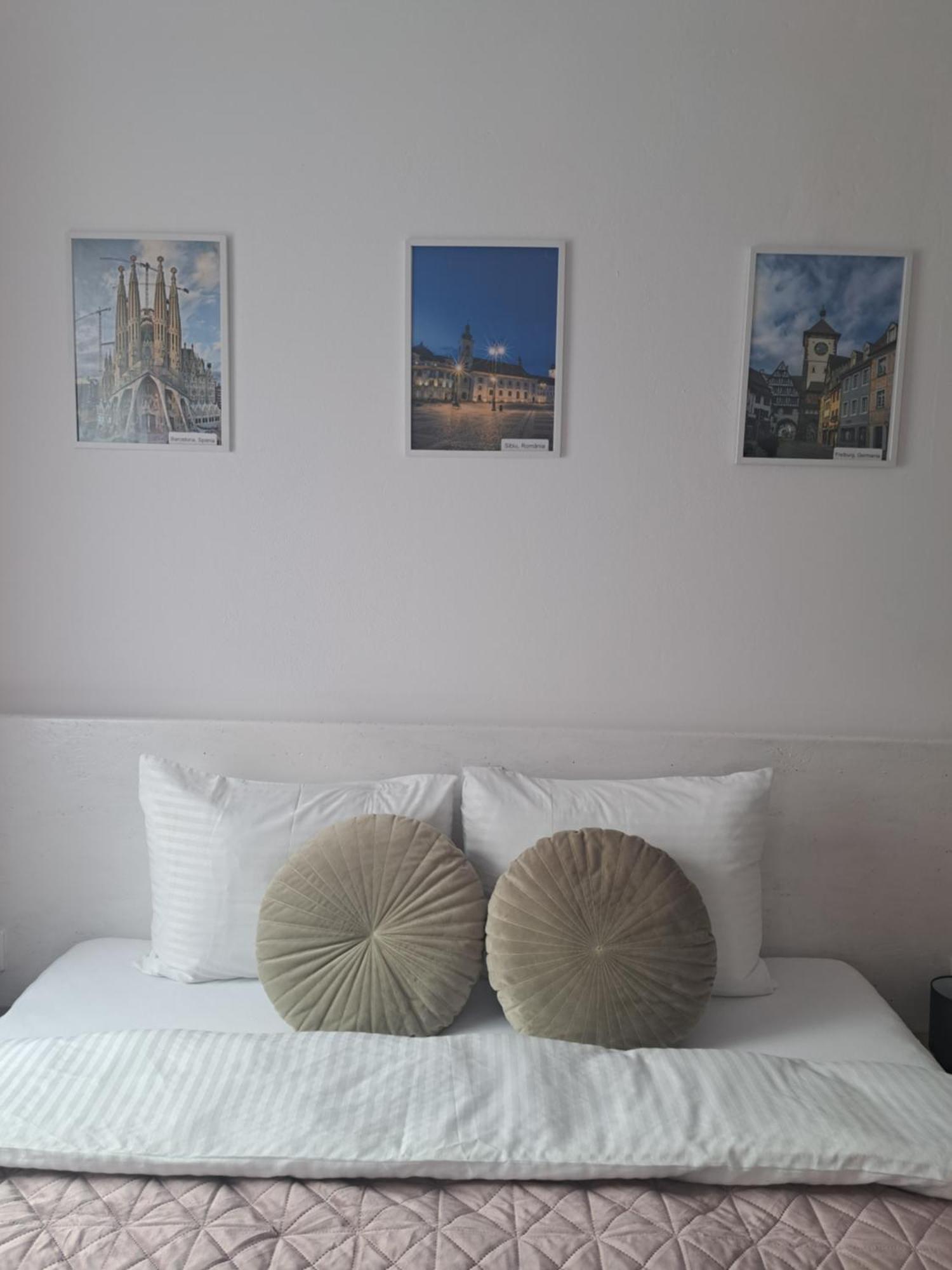 Studio With Free Parking In The Center - Deliamo 3 Sibiu Exteriér fotografie
